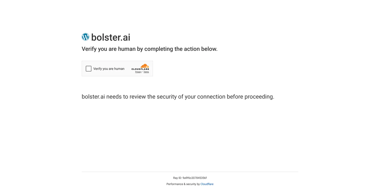 Bolster AI
