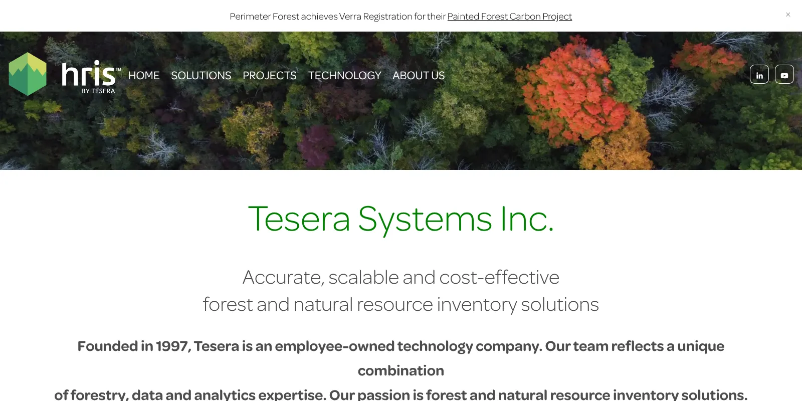 Tesera